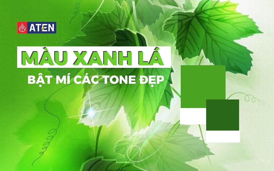 Tông màu xanh đẹp nhất